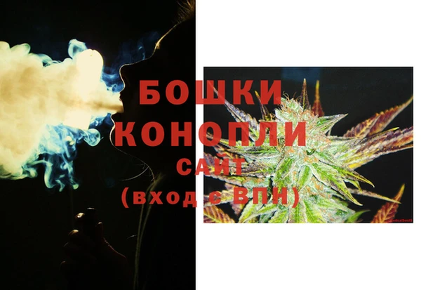 шишки Покров