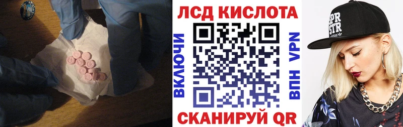 продажа наркотиков  Новая Ладога  ЛСД экстази кислота 