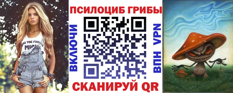 Псилоцибиновые грибы Cubensis  МЕГА сайт  Новая Ладога 